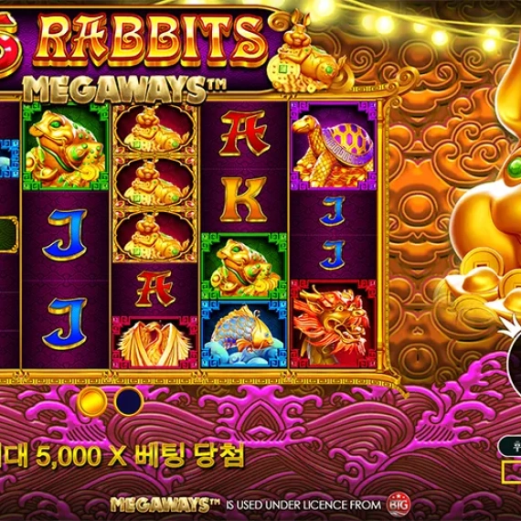 5 토끼 메가웨이