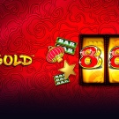 888 골드