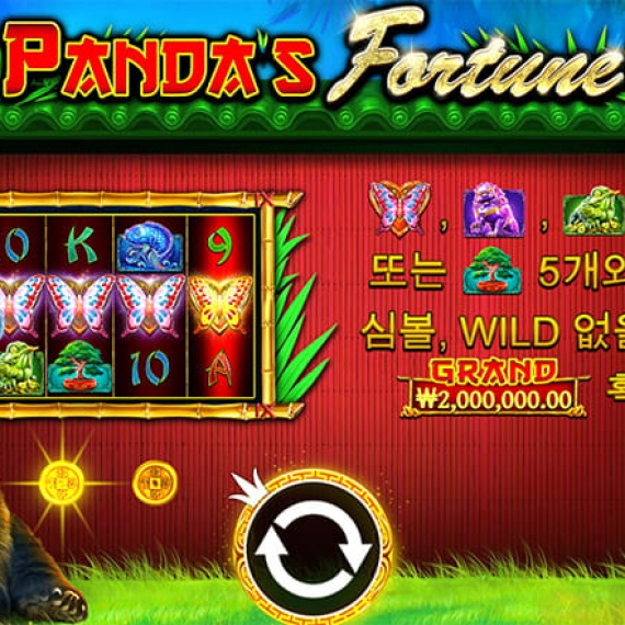 판다의 행운